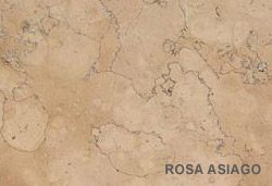 Rosa Asiago